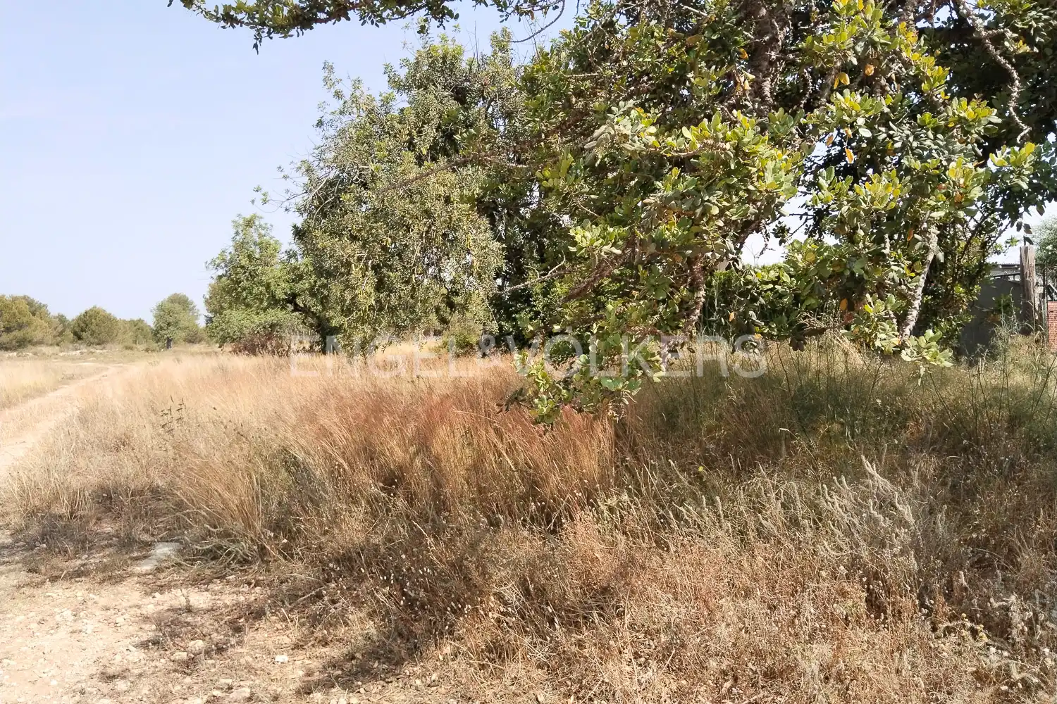 Residencial en venta en Manises