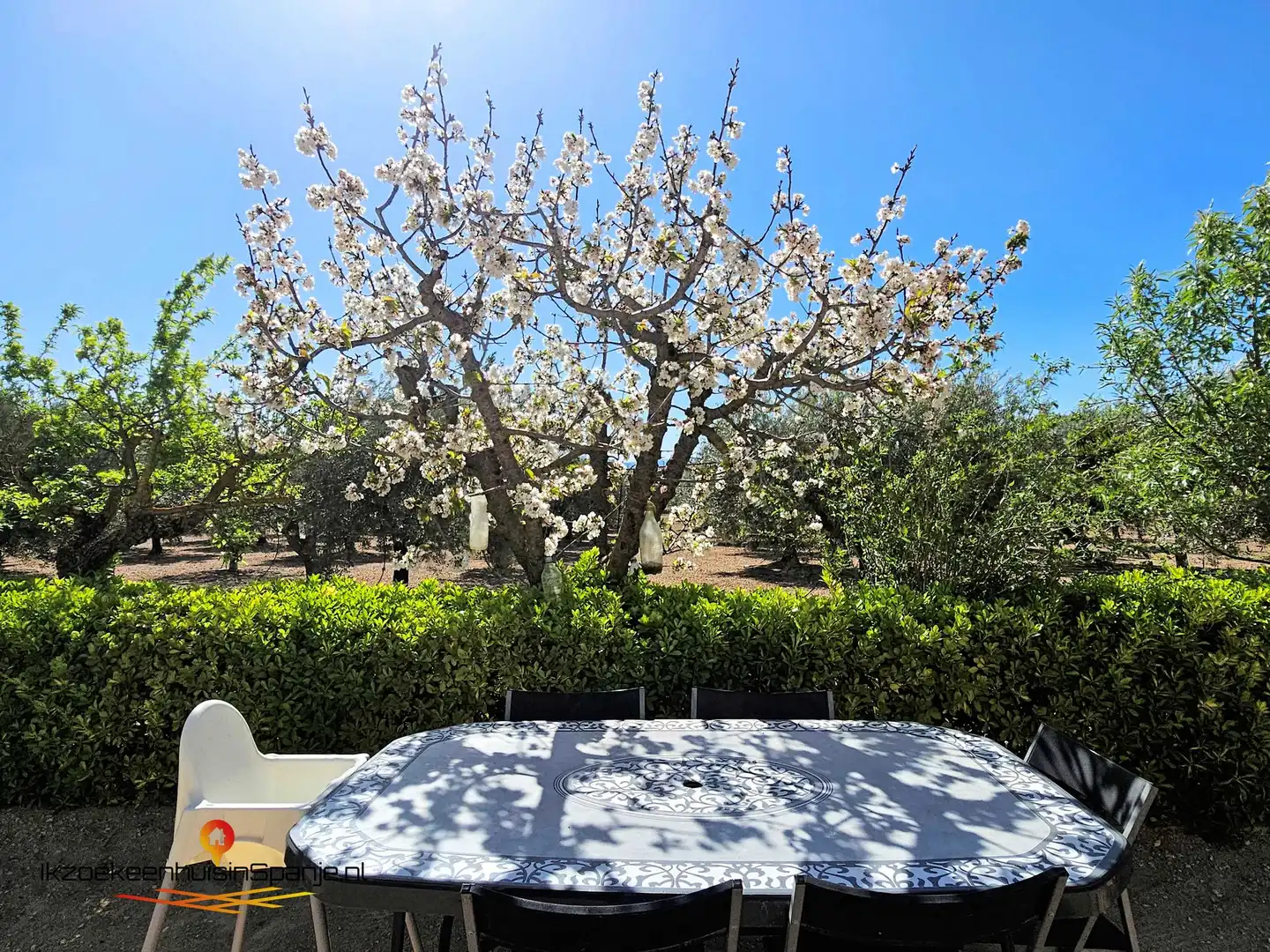 Terrace of Houses for sale in Caudete  with Terrace