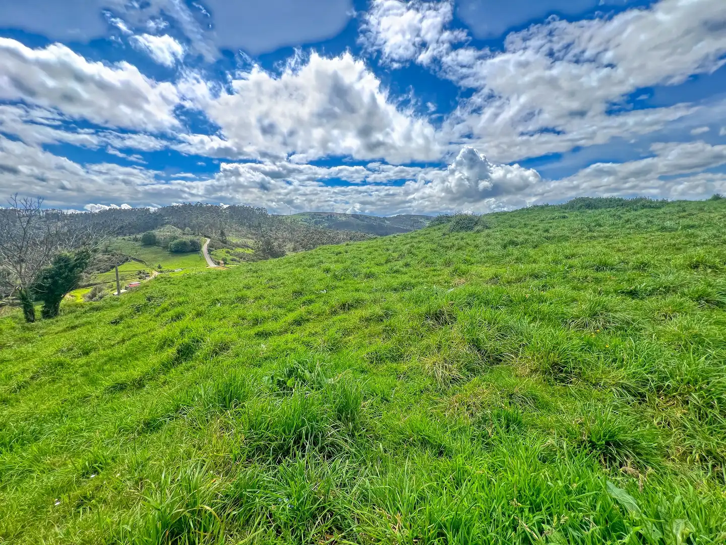 Lands and plots for sale in Pillarno, imagen 16