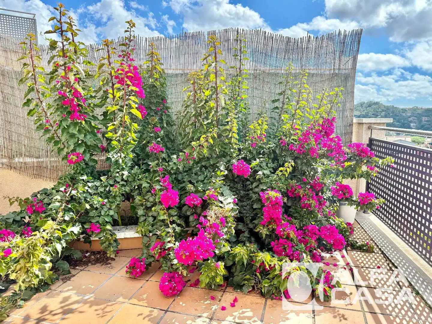 Jardín de Casa o chalet en venta en Lloret de Mar con Trastero, Amueblado y Horno