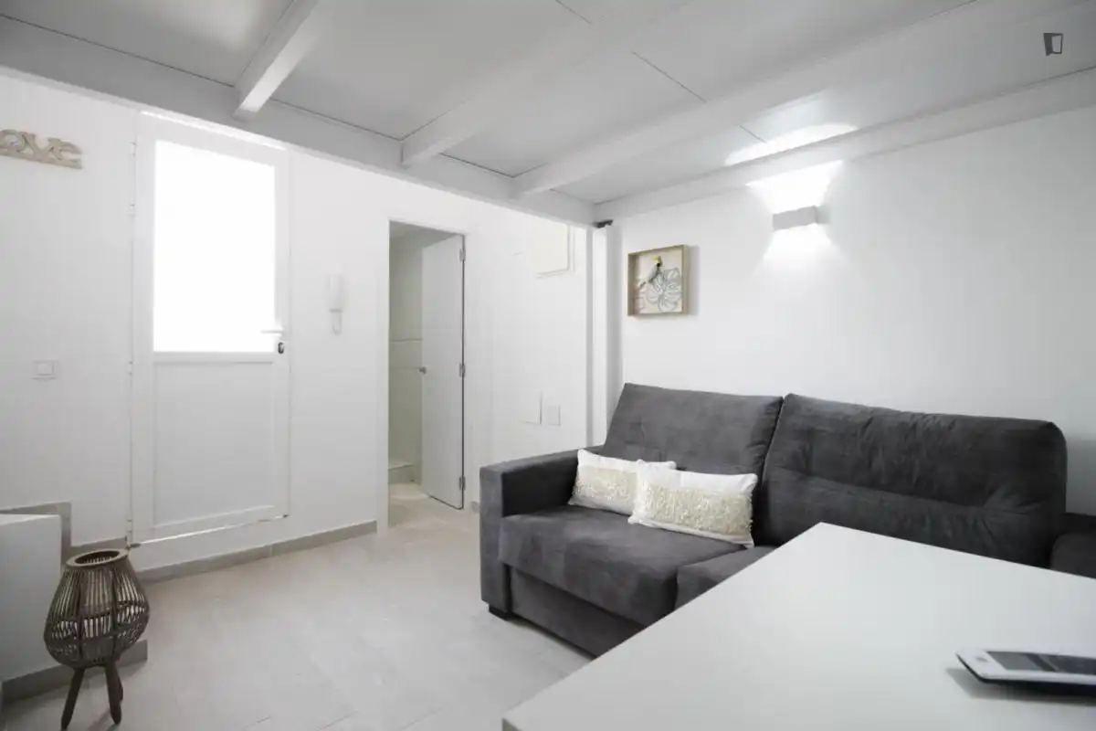 Study for rent in Zofio