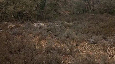 Foto 4 de Terreny en venda a Carrer Camí Nou, 8, Biosca, Lleida