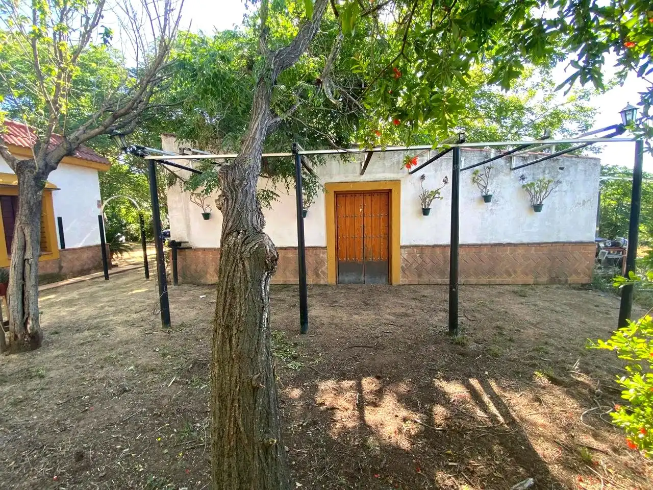 Jardí de Casa o xalet en venda en Alcalá de Guadaira amb Jardí privat, Terrassa i Piscina