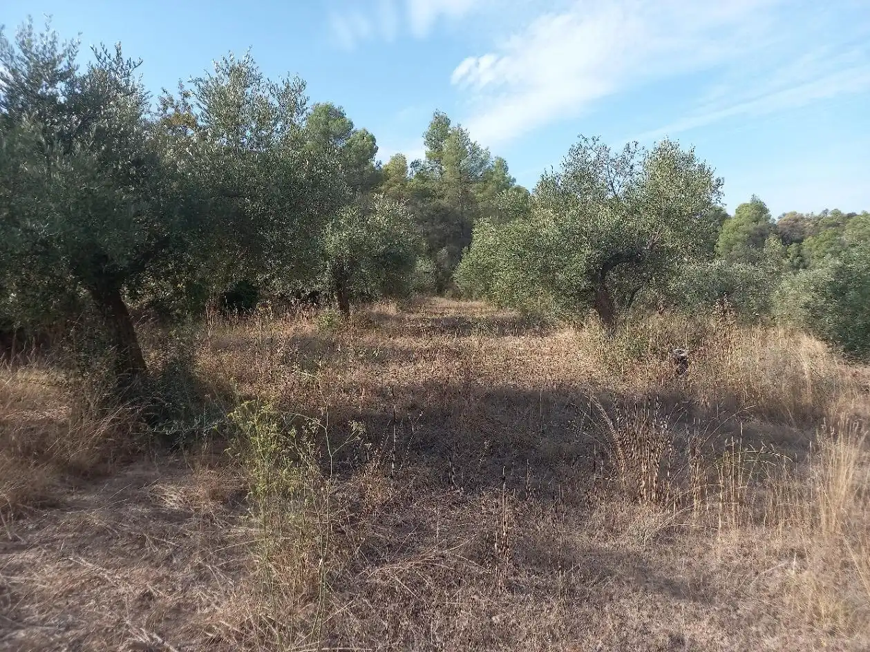 Terreno en venta en La Torre de l'Espanyol