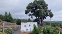 Vista exterior de Finca rústica en venda en Icod de los Vinos