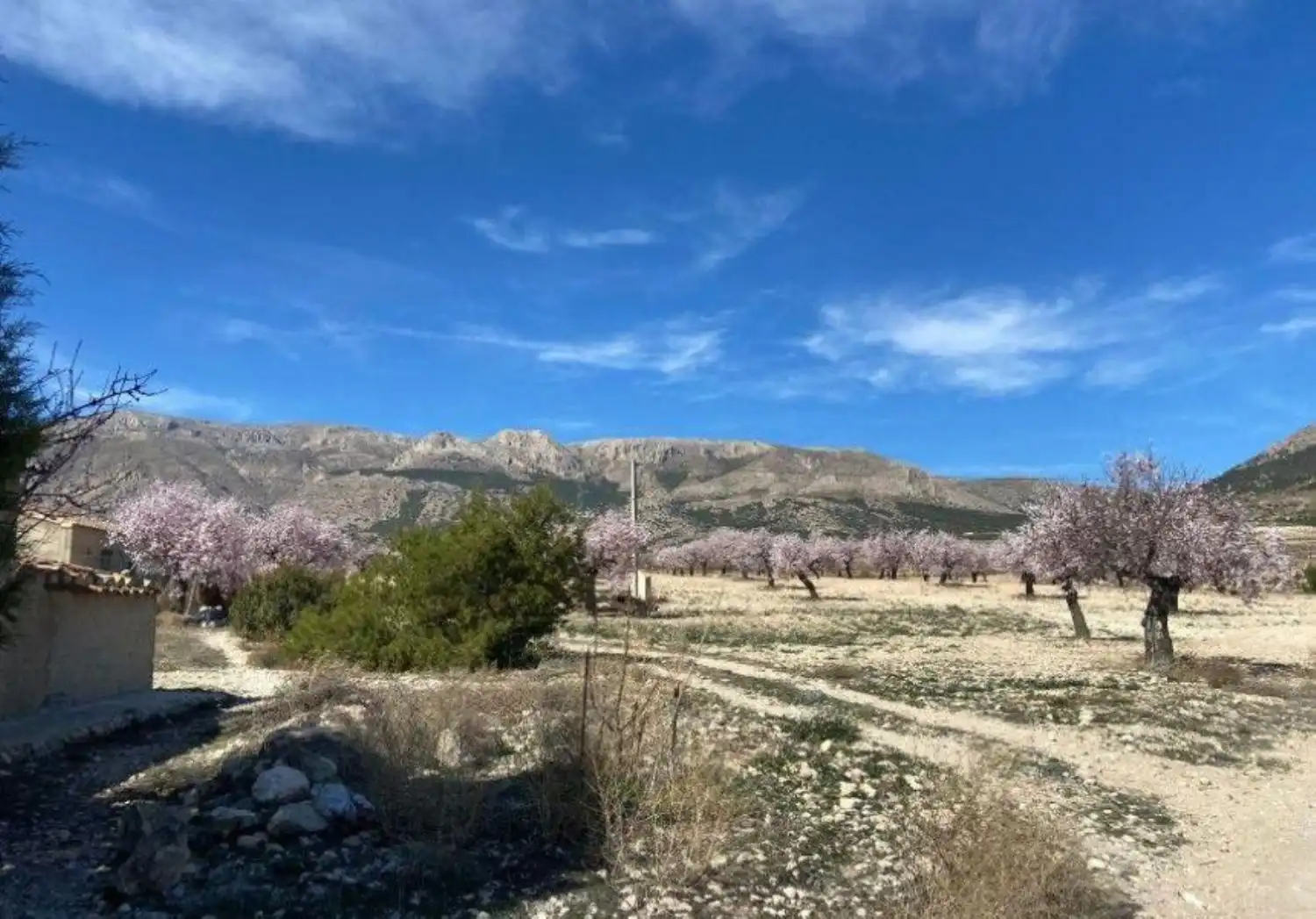 Vista exterior de Finca rústica en venta en Vélez-Rubio con Calefacción, Jardín privado y Trastero
