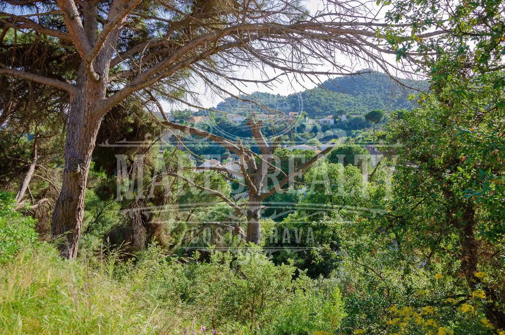 Grundstücke und Bauplätze zum Verkauf in Santa María de Llorell, imagen 8