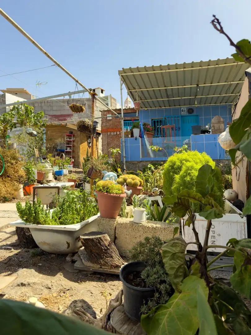 Jardí de Finca rústica en venda en Guía de Isora