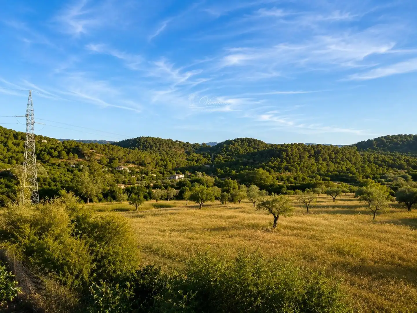 Villa à vendre à son morla, imagen 72