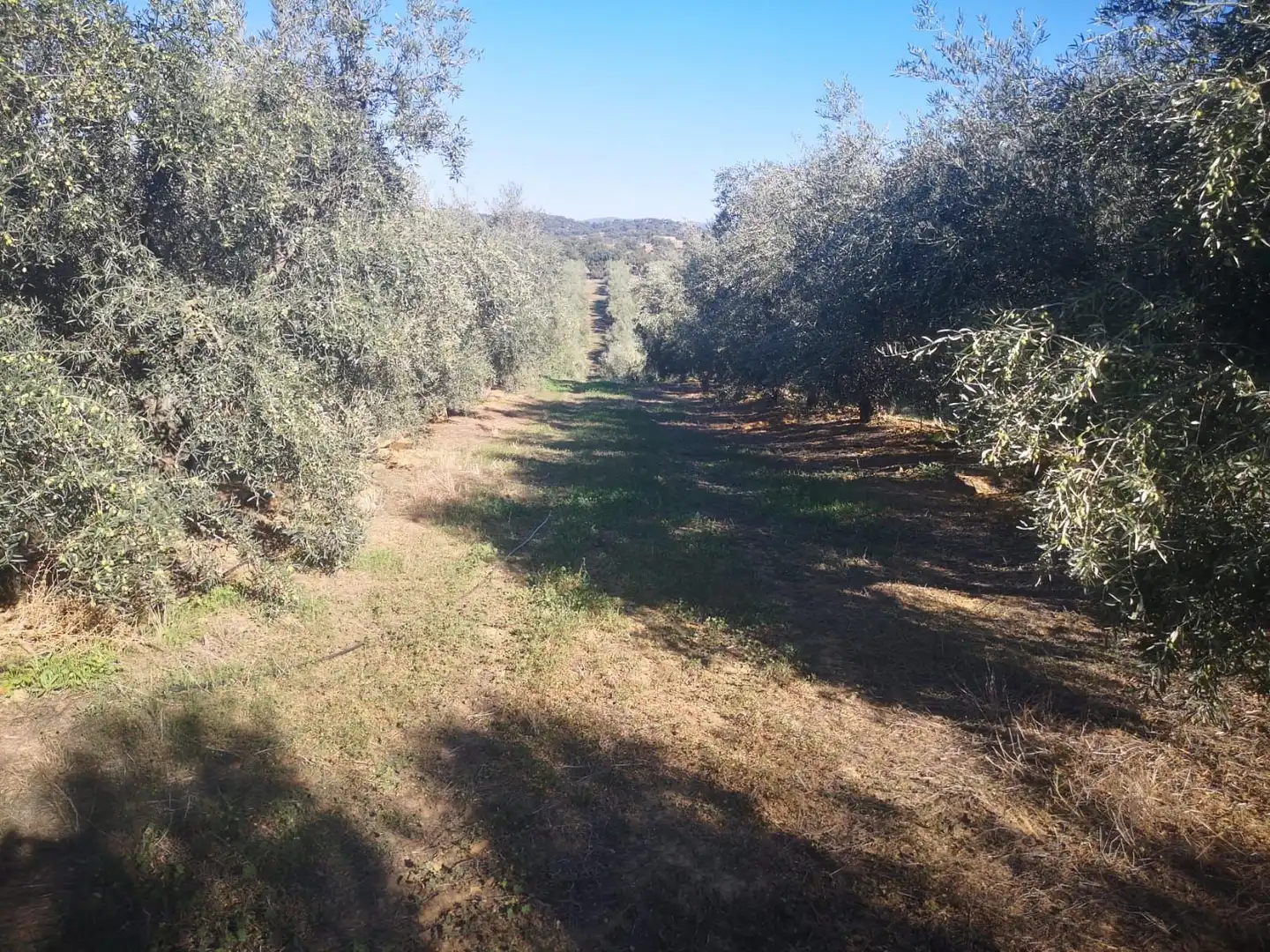 Grundstücke und Bauplätze zum Verkauf in Posadas, imagen 3