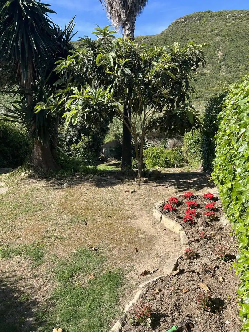 Garden of Country homes for sale in Manilva  with Private garden, Terrace and Swimming Pool