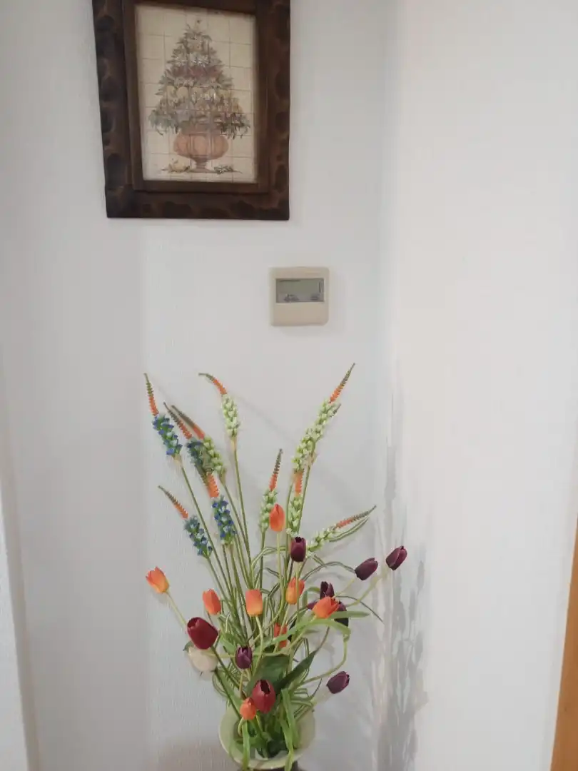 Appartamento con terrazza in affitto a Carrer Almirante Antequera, imagen 15