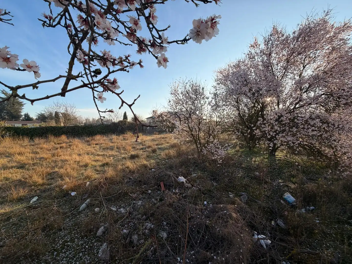 Rural land for sale in Calle San Roque, imagen 4