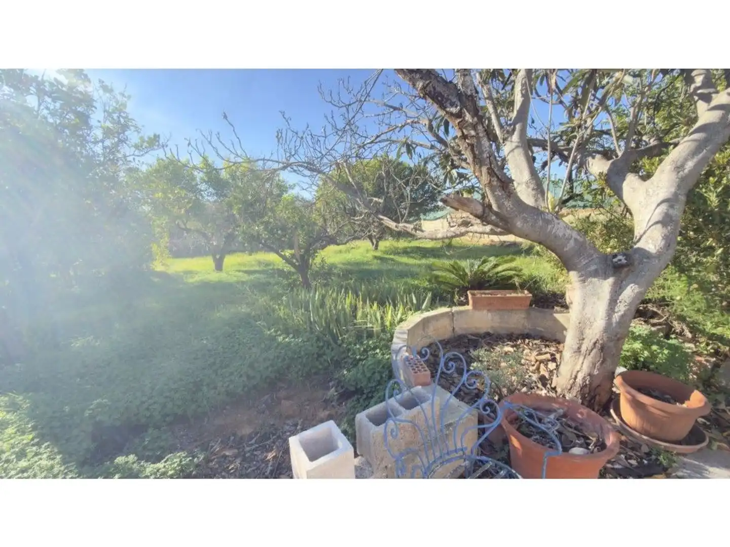 Jardín de Finca rústica en venta en Torrent con Jardín privado