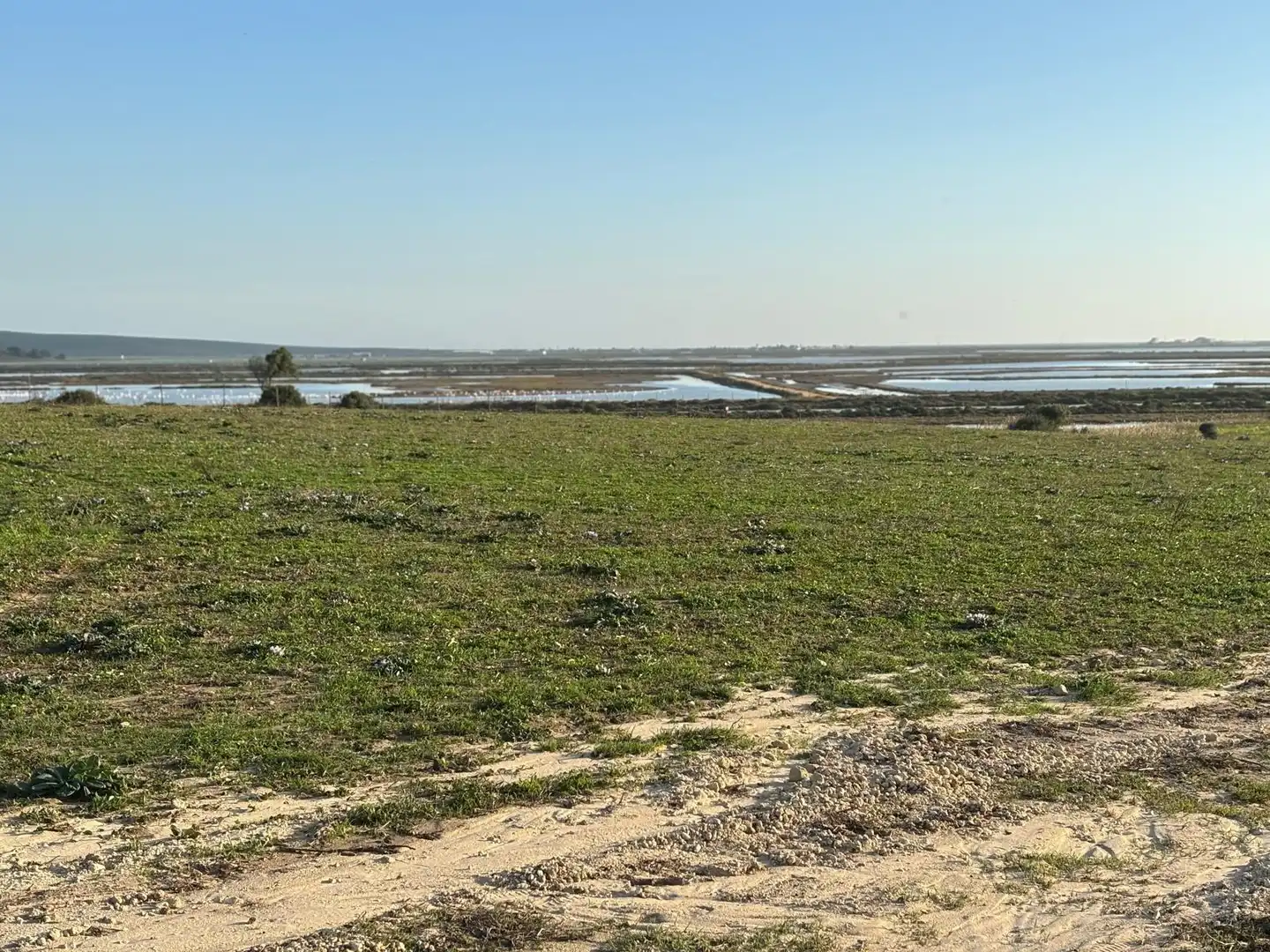 Terreni e lotti in vendita a Vejer, imagen 16
