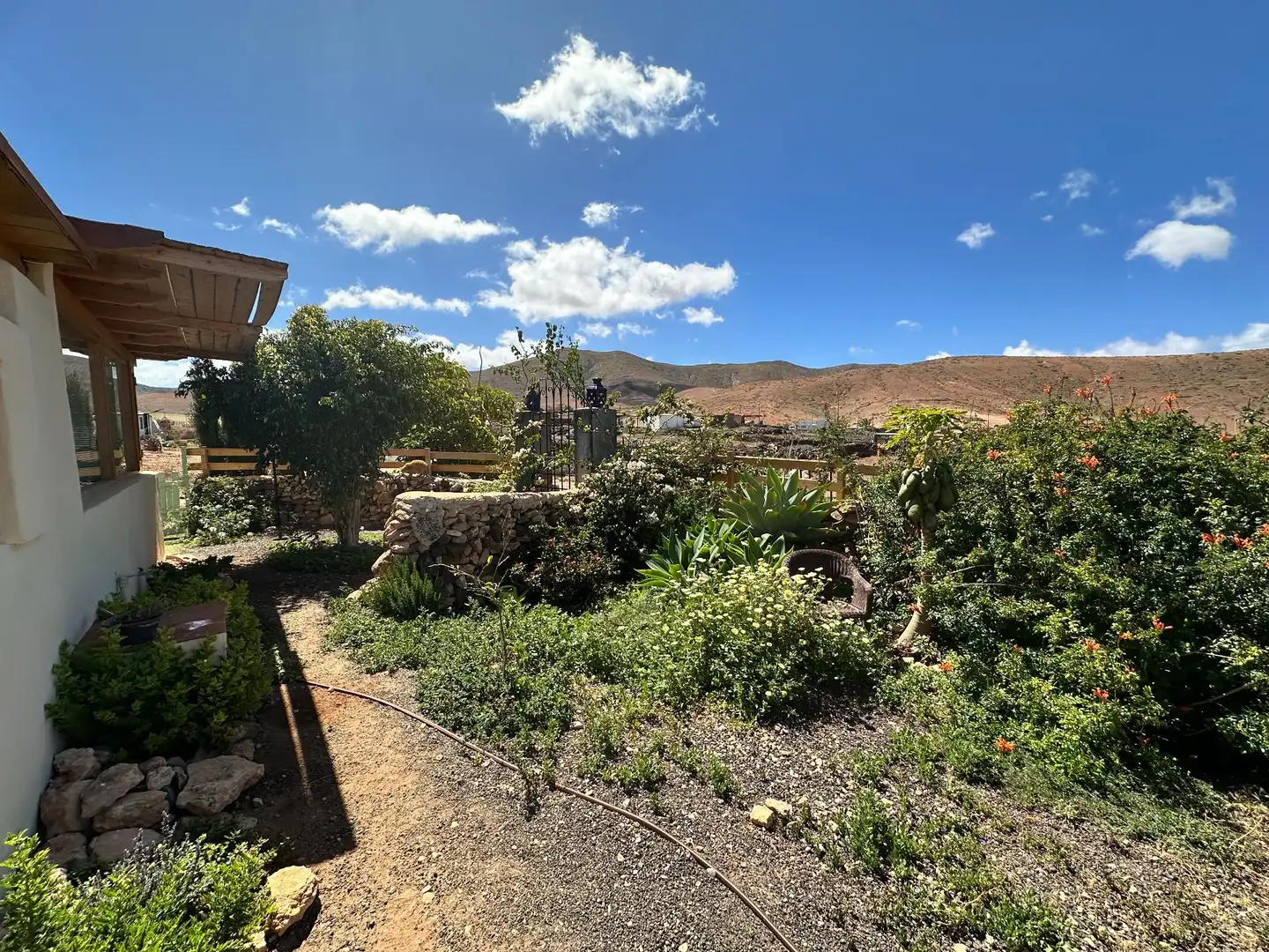Jardín de Finca rústica en venta en Pájara con Jardín privado, Terraza y Trastero