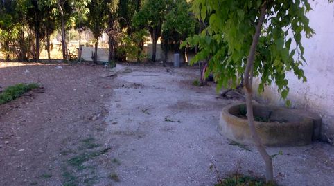 TERRENO DE MAS DE 5000 MTROS EN CTRA DE ROMICA, imatge 4
