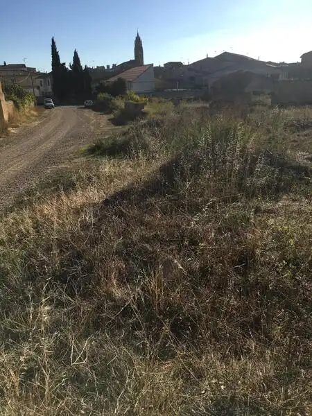 Terreni e lotti in vendita a S Francisco, imagen 14