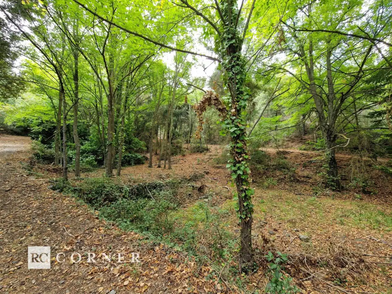 Houses for sale in Vimbodí i Poblet  with Heating, Private garden and Swimming Pool