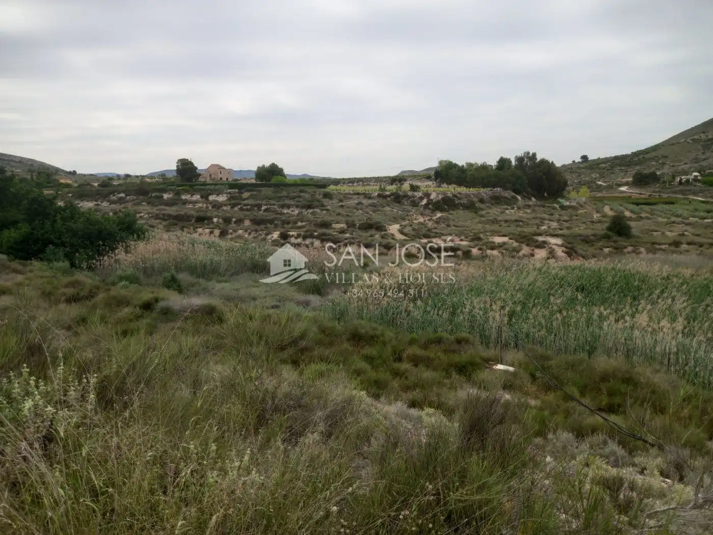 Rural land for sale in Novelda, imagen 8