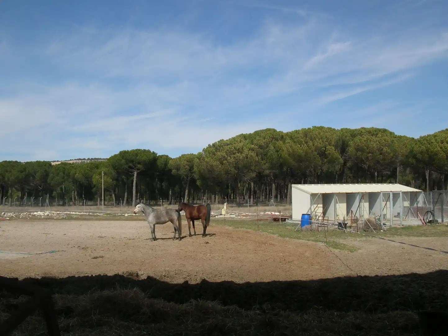 Terreni e lotti in vendita a Íscar, imagen 8