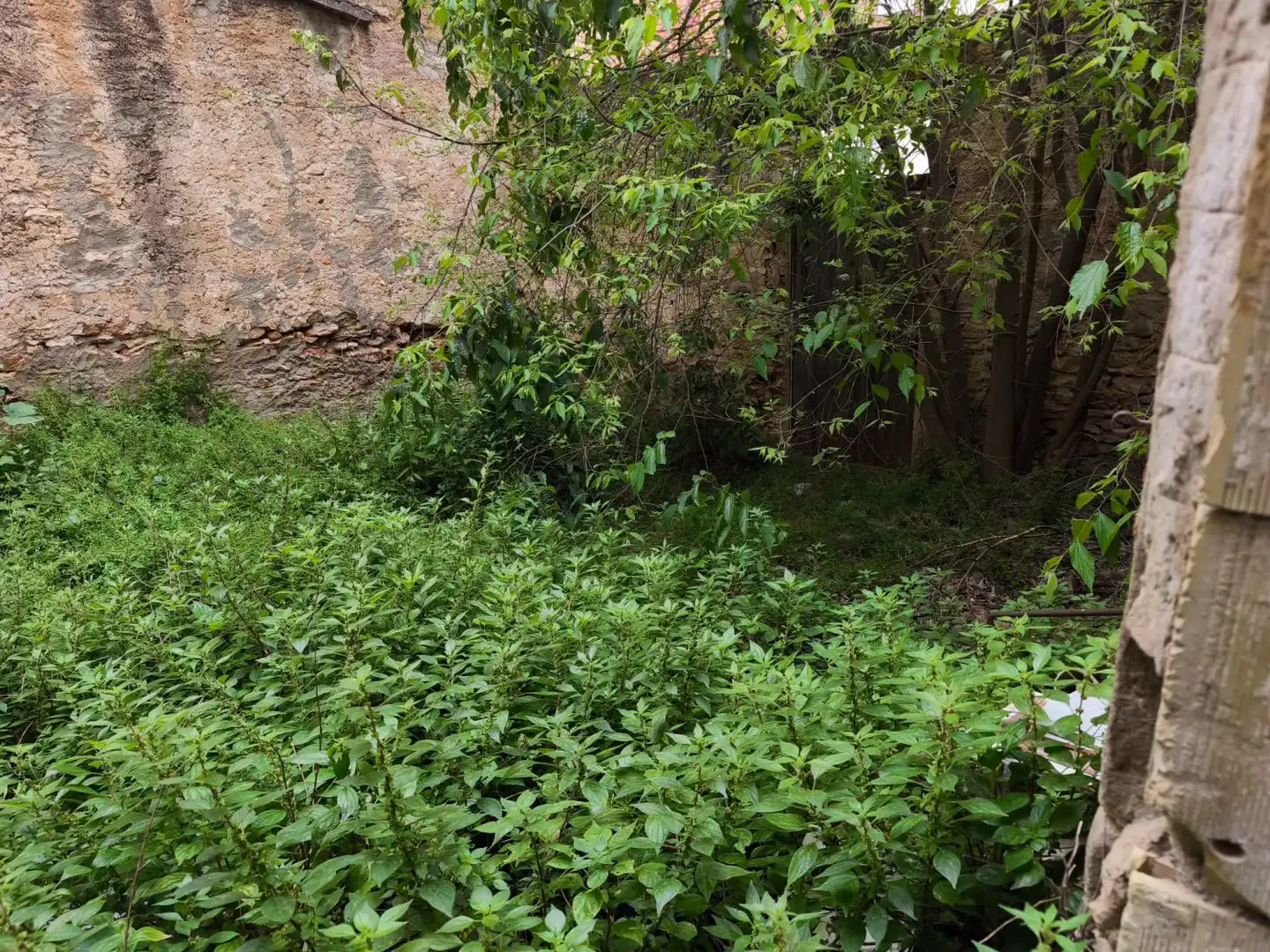 Casa o xalet en venda en Masdenverge