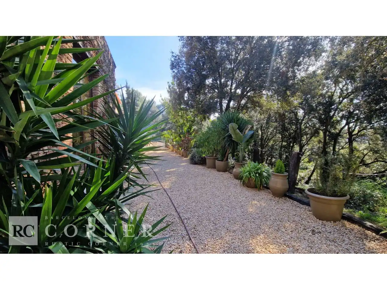 Vista exterior de Finca rústica en venta en Dosrius poble