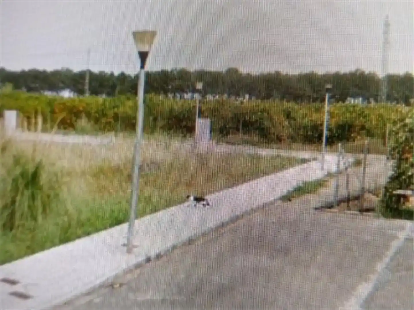 Residencial en venda en Riola, Valencia