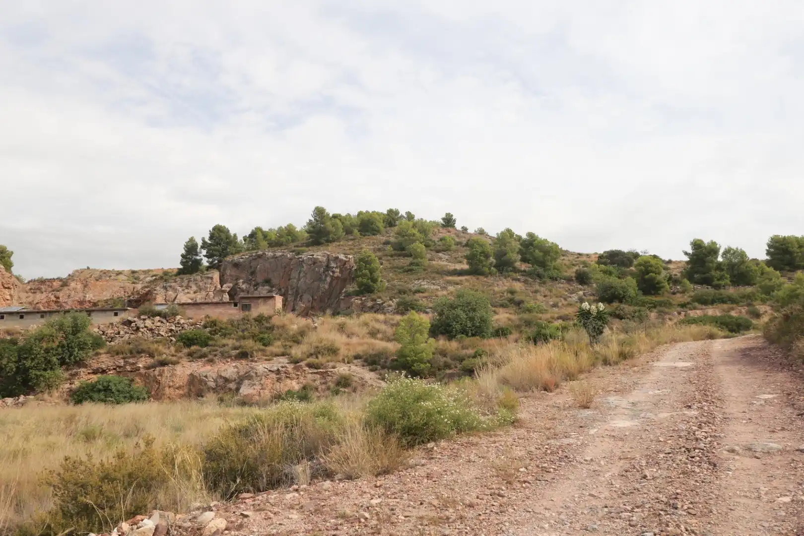 Rural land for sale in Nules, imagen 7