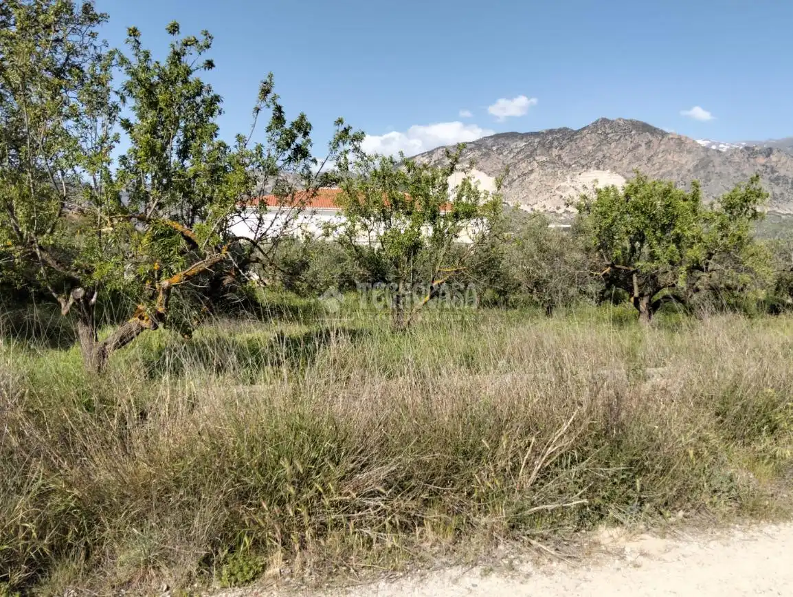 Rural land for sale in Dúrcal, imagen 19
