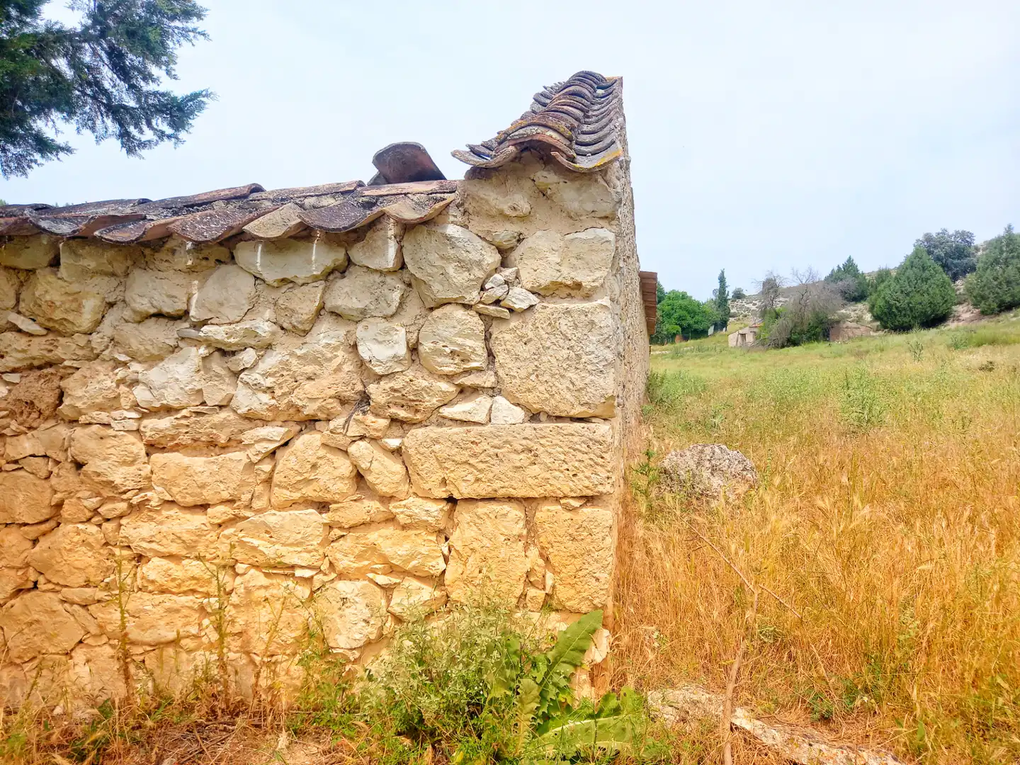 Country homes for sale in Calle Real, 25, Langa de Duero