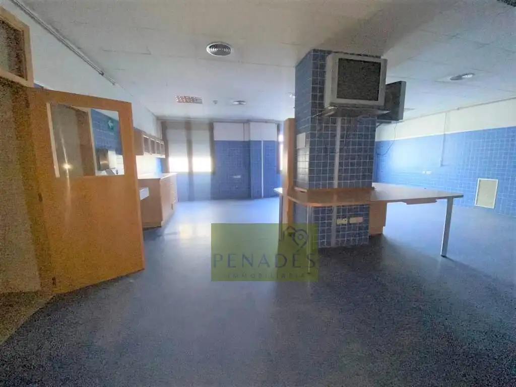 Business premises to rent in Sant Josep - Zona Hospital, imagen 17