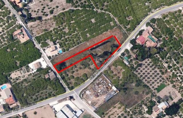 Terreno residencial en Venta en Camino Camino Viejo de Orihuela en Torreagüera