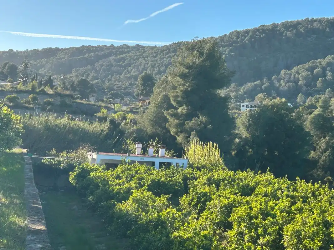 Jardí de Finca rústica en venda en Oliva amb Moblat