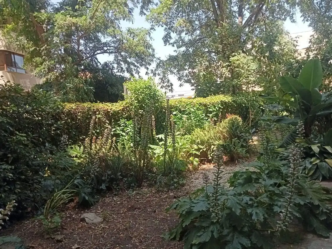 Pis amb piscina en venda a San Nicolás, imagen 3