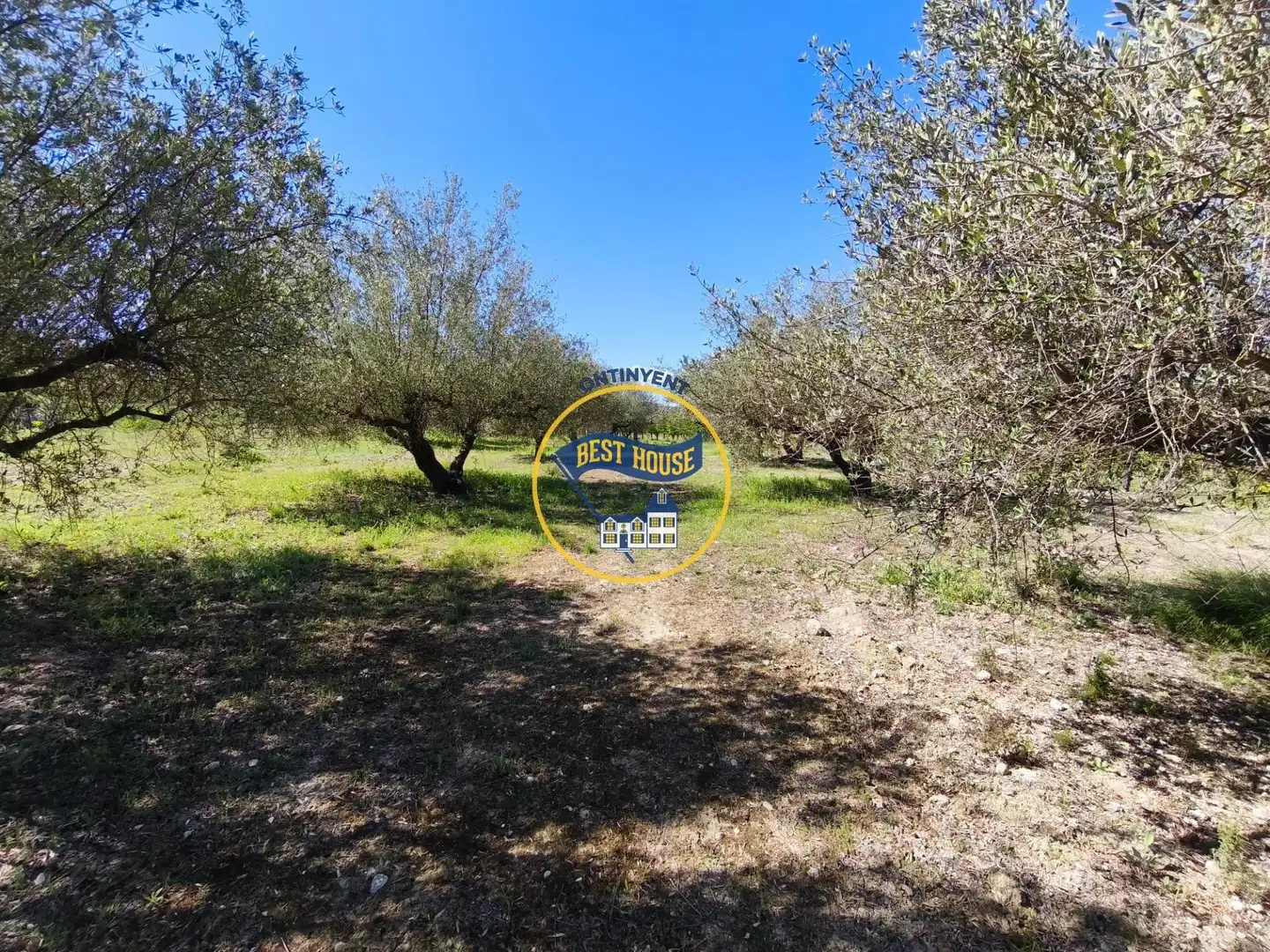 House for sale in Albaida, imagen 32
