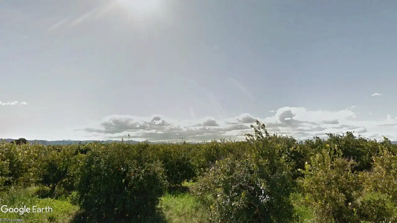 Terreno rustico in vendita a Partida de Passicos 124, imagen 3