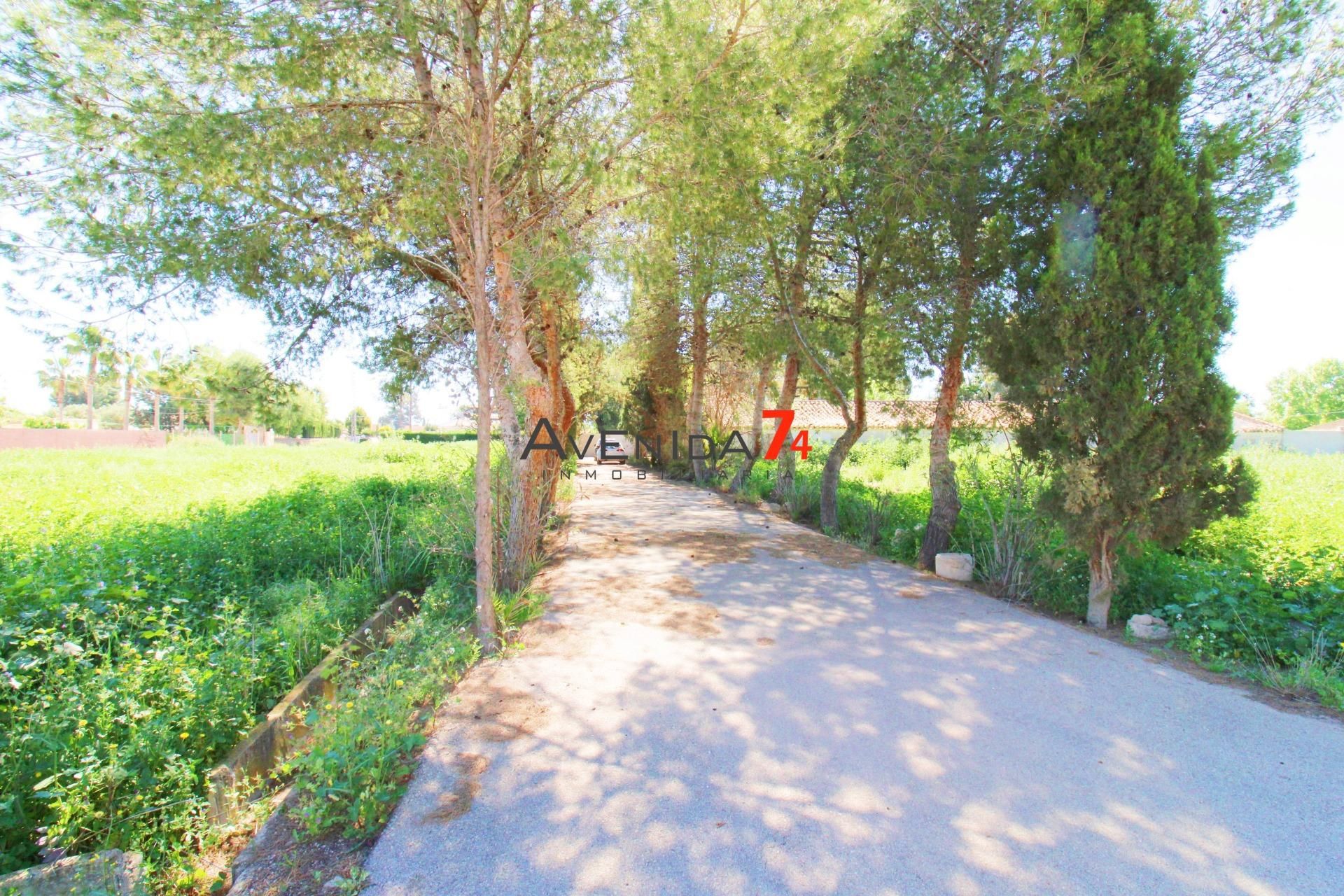 Vista exterior de Casa o xalet en venda en Lorca