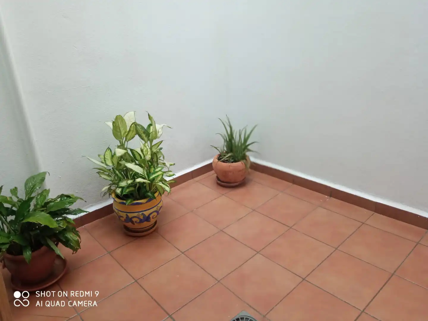 Planta baixa en venda en Prado del Rey