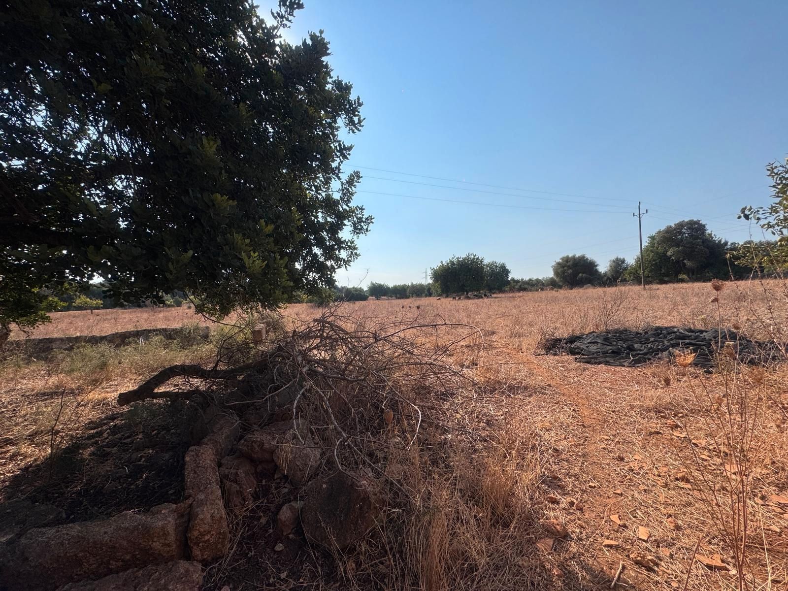 Land for sale in Inca