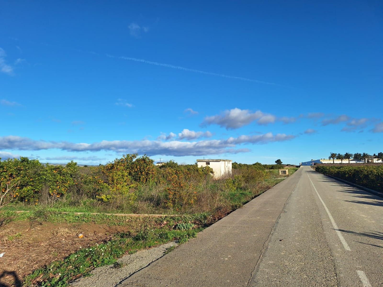 House or chalet for sale in Algemesí