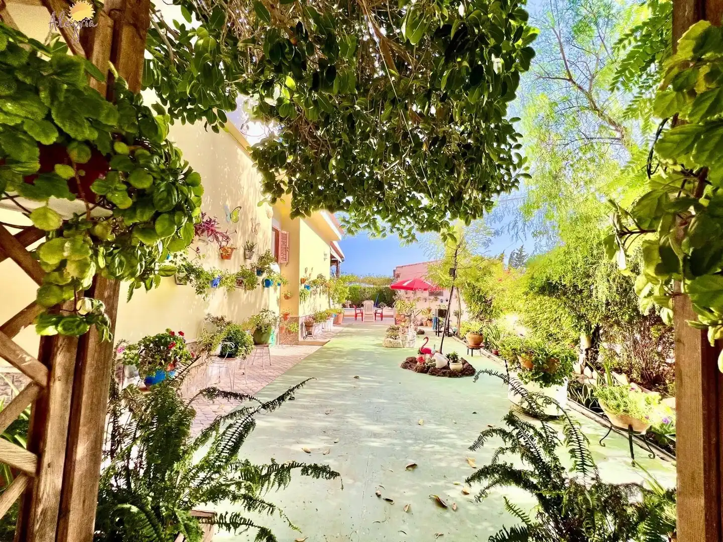 Villa avec piscine à vendre à Calle  Alcalde Joaquín Alberca, imagen 23