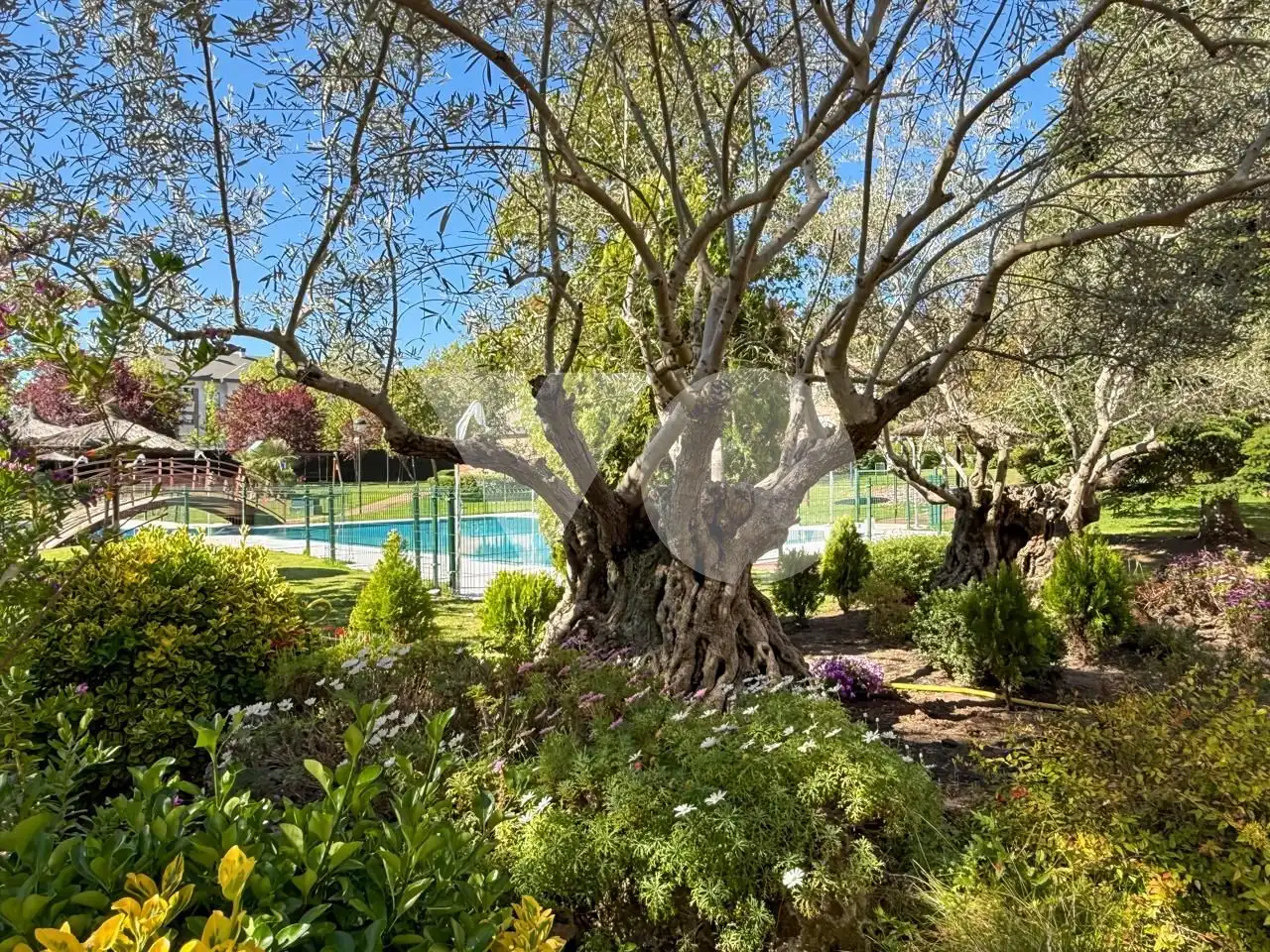 Garten von Erdgeschoss zur Miete in Majadahonda mit Heizung, Privatgarten und Terrasse