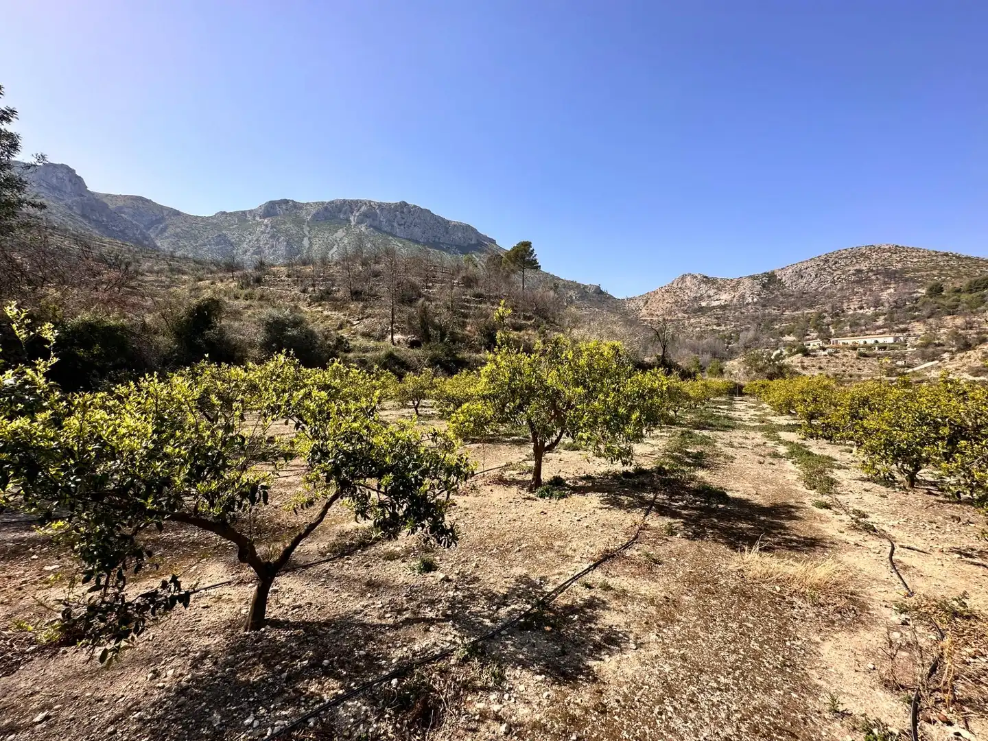 Residencial en venta en L'Atzúbia