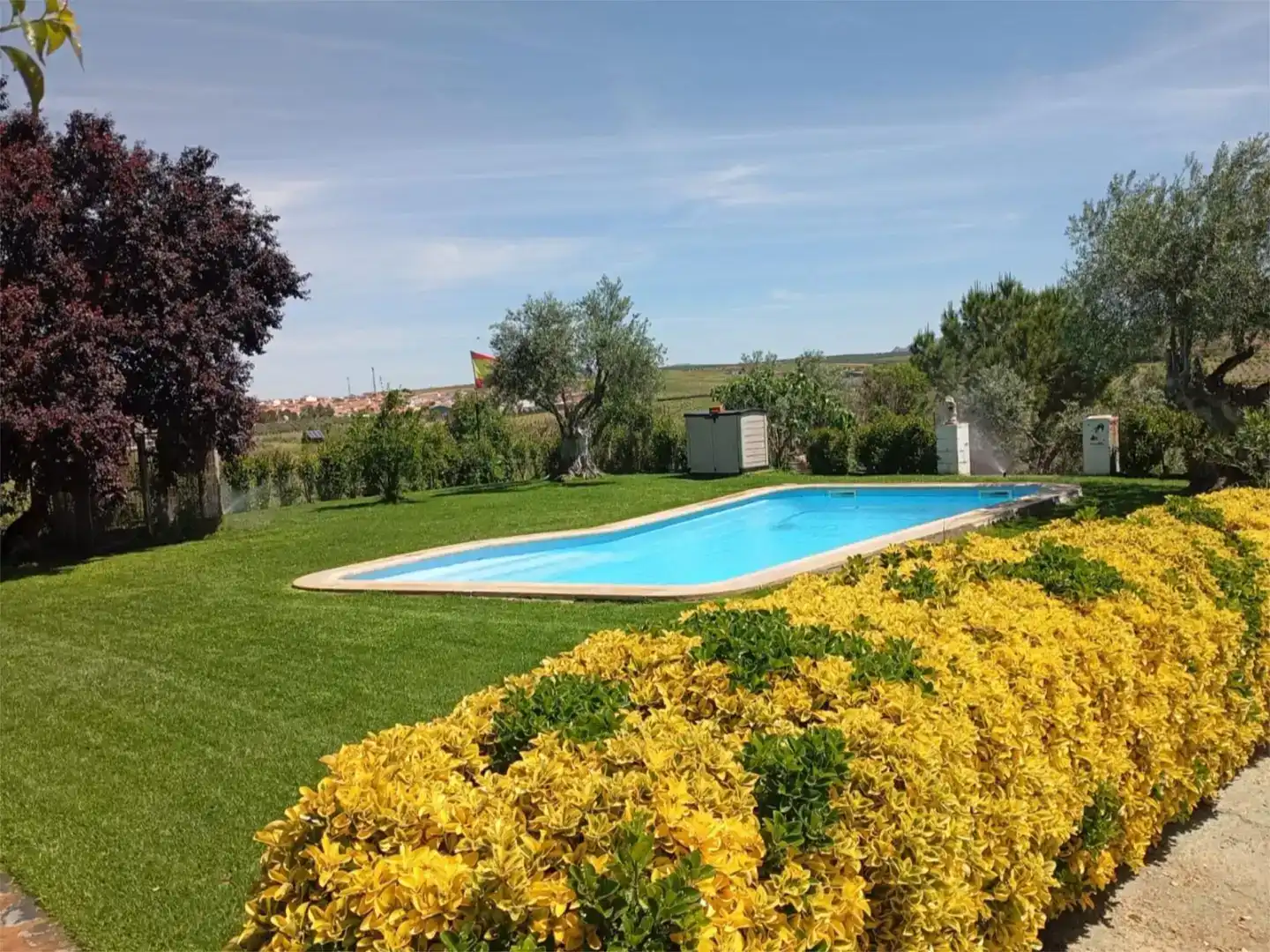 Piscina de Pis en venda en Ribera del Fresno, Badajoz