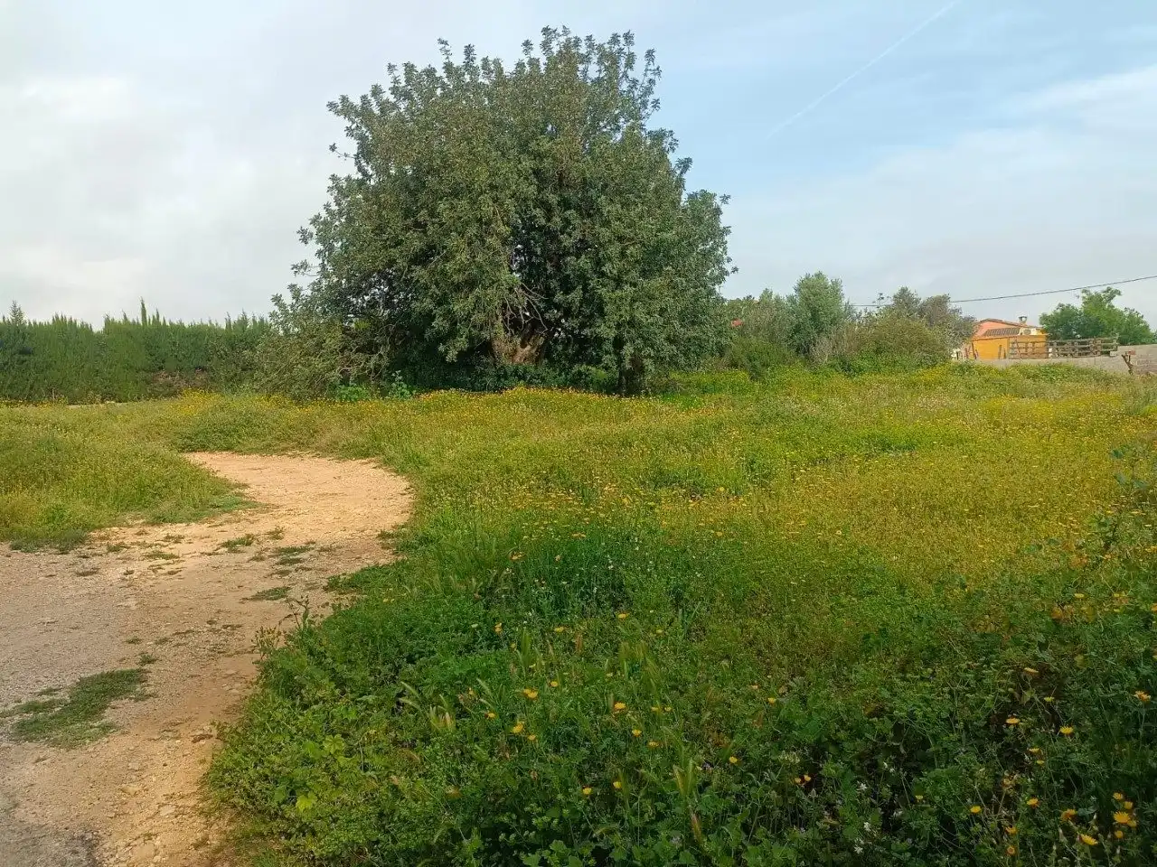 Residential land for sale in C. Charcos Secos, imagen 10