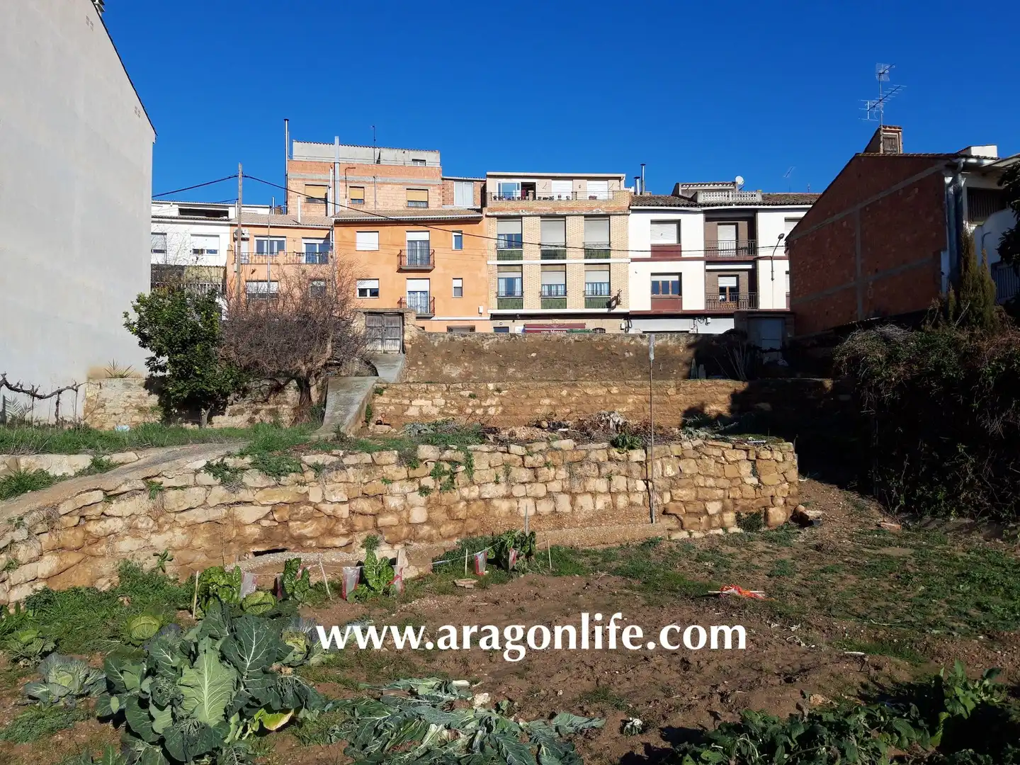 Terreno residenziale in vendita a Maella, imagen 13