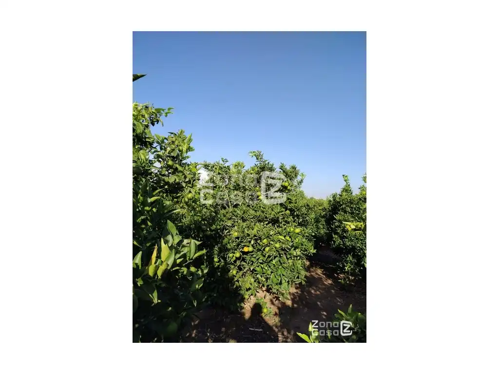 Country house for sale in Algemesí, imagen 3