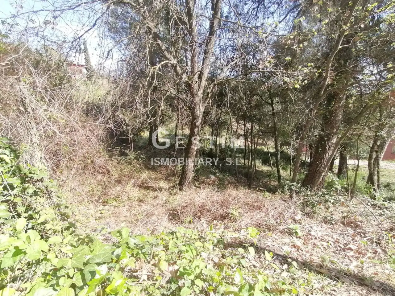 Terreno residenziale in vendita a Avenida JOAN MIRO, imagen 6