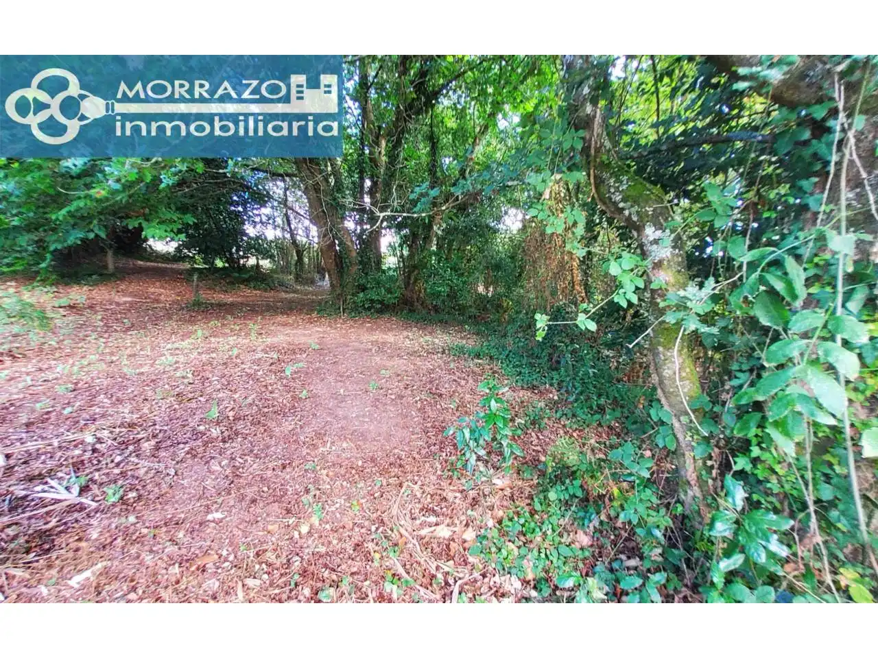 Residential for sale in Marín